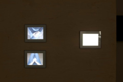 Martina Lišková, Klauzury 2009/2010 ZS