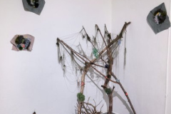 Lucie Mikešová, Klauzury 2025/2026 ZS