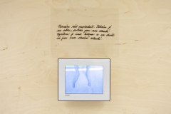 Martina Lišková, Klauzury 2010/2011 ZS