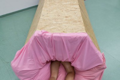 Linda Páleníková, Klauzury 2011/2012 LS  (stáž v ateliéru Performance FUD)