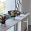 Vojtěch Frydl (foto Kateryna Orunbaieva)