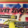 Polina Vereikina