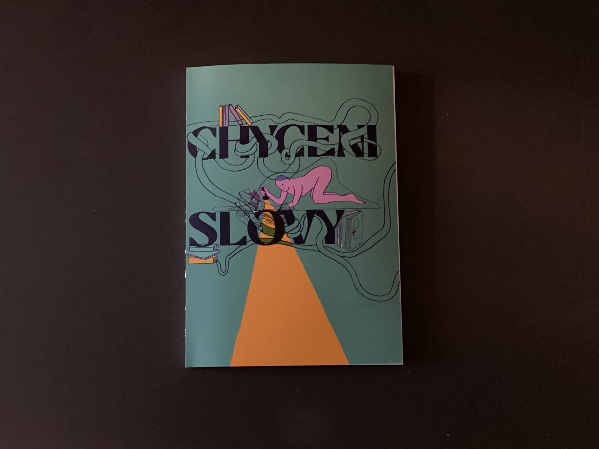 chyceni-slovy-2